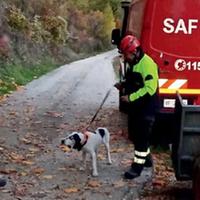 Il cane recuperato dai vigili del fuoco e riconsegnato al suo padrone