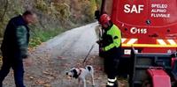 Il cane recuperato dai vigili del fuoco e riconsegnato al suo padrone