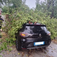 L auto dello studente islandese travolta dall albero