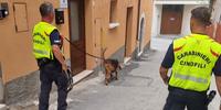 Le ricerche dei cani dei carabinieri del centro cinofili di Firenze