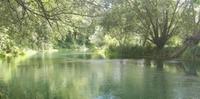 Acqua del fiume Tirino