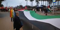 La lunga bandiera della Palestina esposta durante il corteo No G7 (foto di Giampiero Lattanzio)